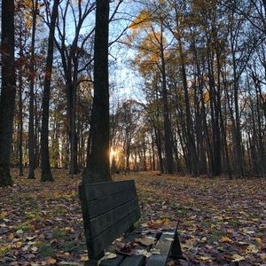 Meet your Posher, Sultan